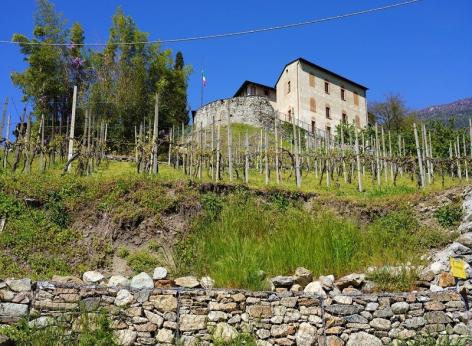 PSN/PAC 2023-2027 “Sostegno zone con svantaggi naturali montagna” - Sviluppo Rurale/bando 2026 