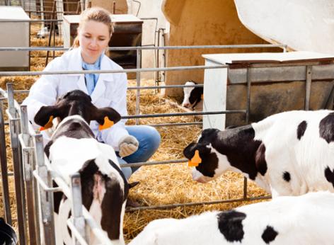 SRA30 Pagamento per il miglioramento del Benessere degli animali Azione A - Aree di intervento specifiche