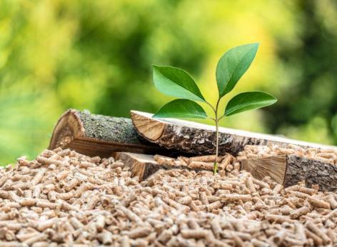 Bando per la sostituzione di impianti termici civili a biomassa rivolto alle Micro, Piccole e Medie Imprese