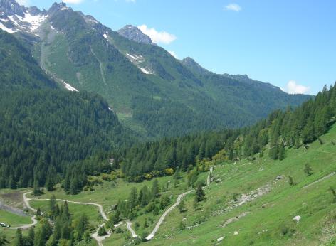 Bando per il finanziamento di interventi di rispristino attivo nei Siti Natura 2000
