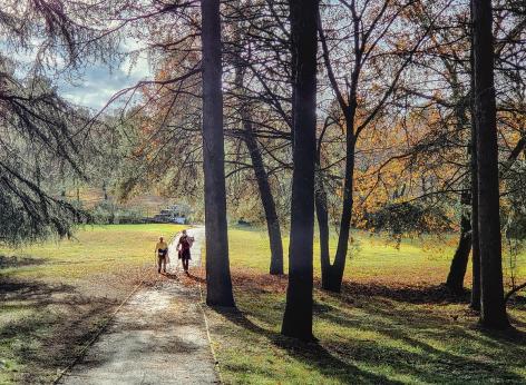 Bando per l'assegnazione di contributi regionali finalizzati alla realizzazione di interventi e iniziative di promozione e valorizzazione turistica dei cammini veneti.