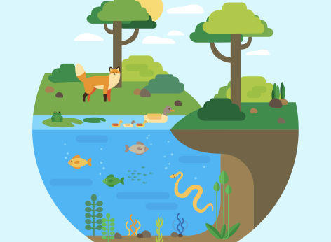 Territori in transizione: soluzioni per il cambiamento nelle aree marine e montane italiane